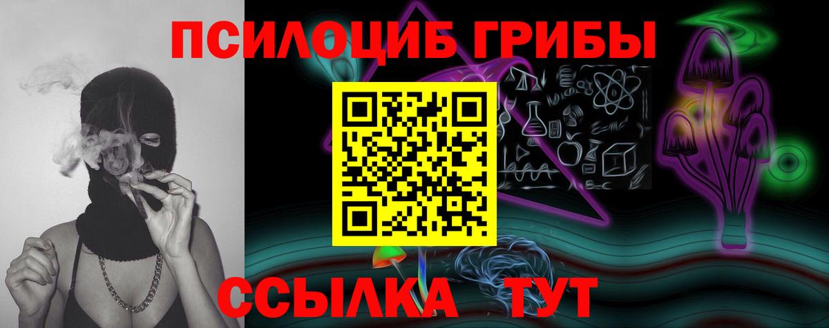 Галлюциногенные грибы GOLDEN TEACHER  Псилоцибиновые грибы Psilocybe  Вход с VPN  Курчалой 